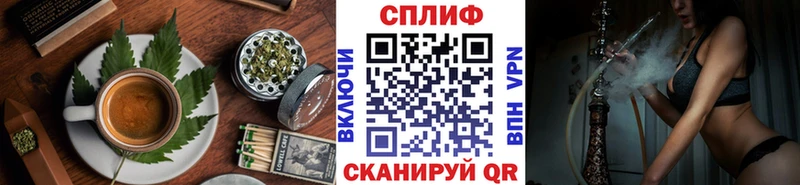 Купить где  Нолинск  Cannafood конопля 