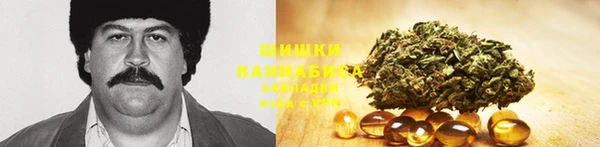 шишки Зеленодольск