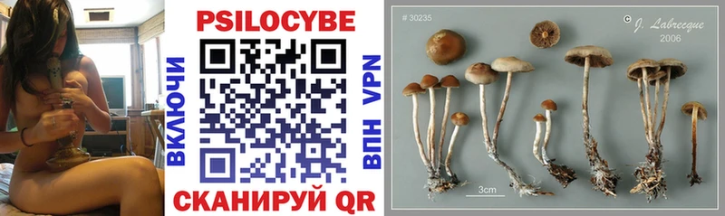 Купить закладки Нолинск Псилоцибиновые грибы Magic Shrooms